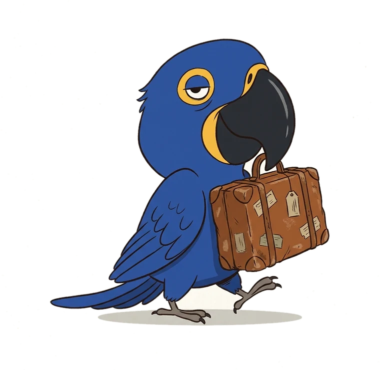 A Nina, uma arara-azul, andando com uma mala velha pendurada no bico